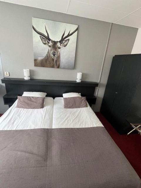 Veluwe Stakenberg Elspeet